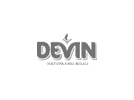 Devin